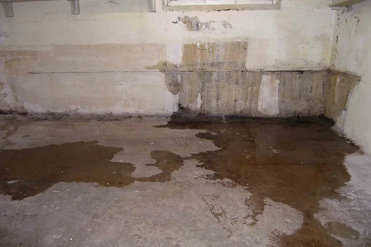 Why is Water Coming Up From the Basement Floor? - Aquamaster